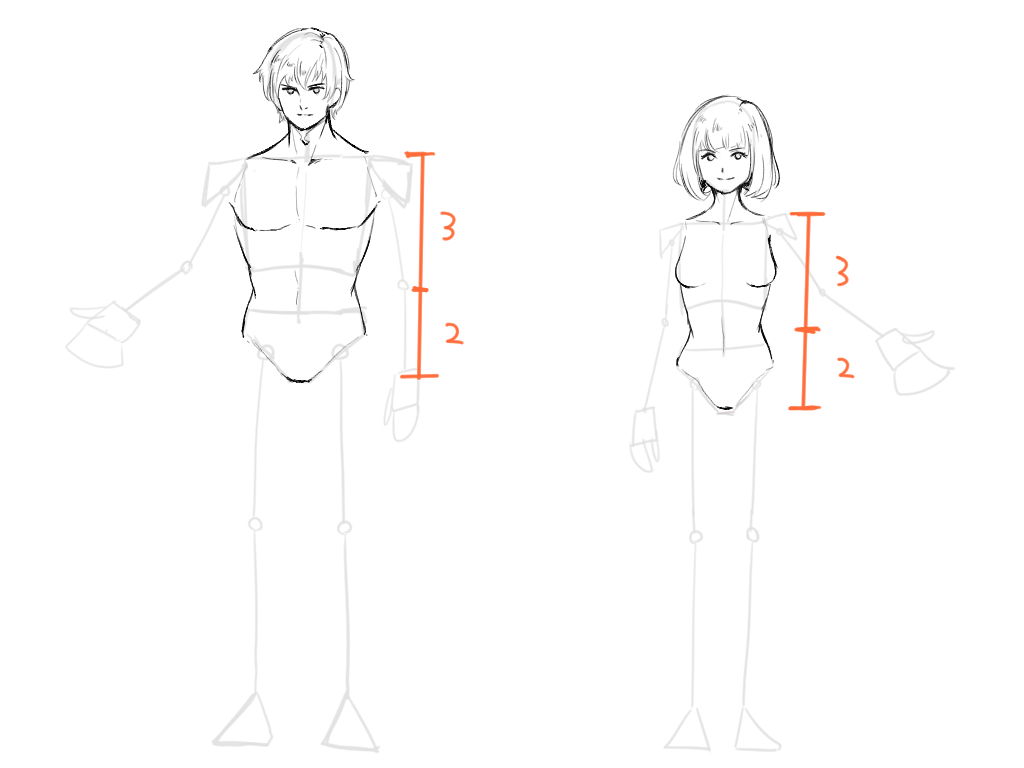 体の描き方3