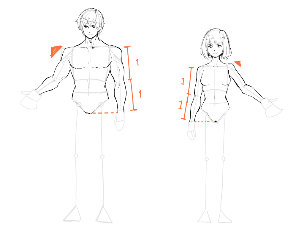 体の描き方4