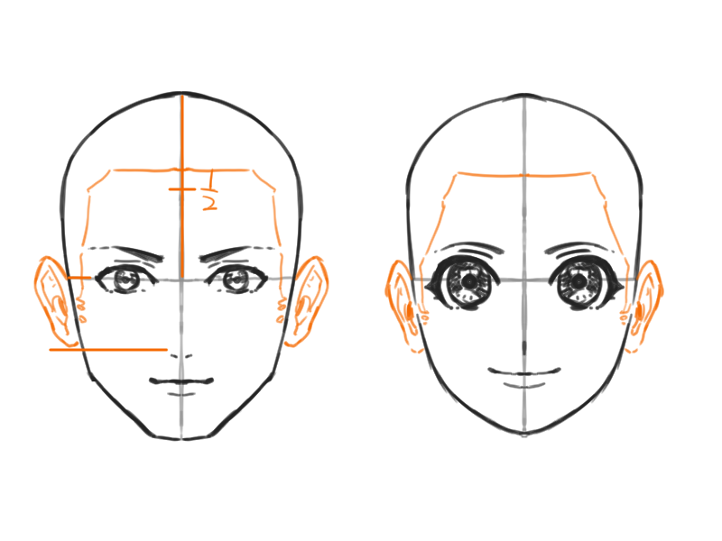 正面顔の描き方は比率が大切 5ステップで解説 シジストノート