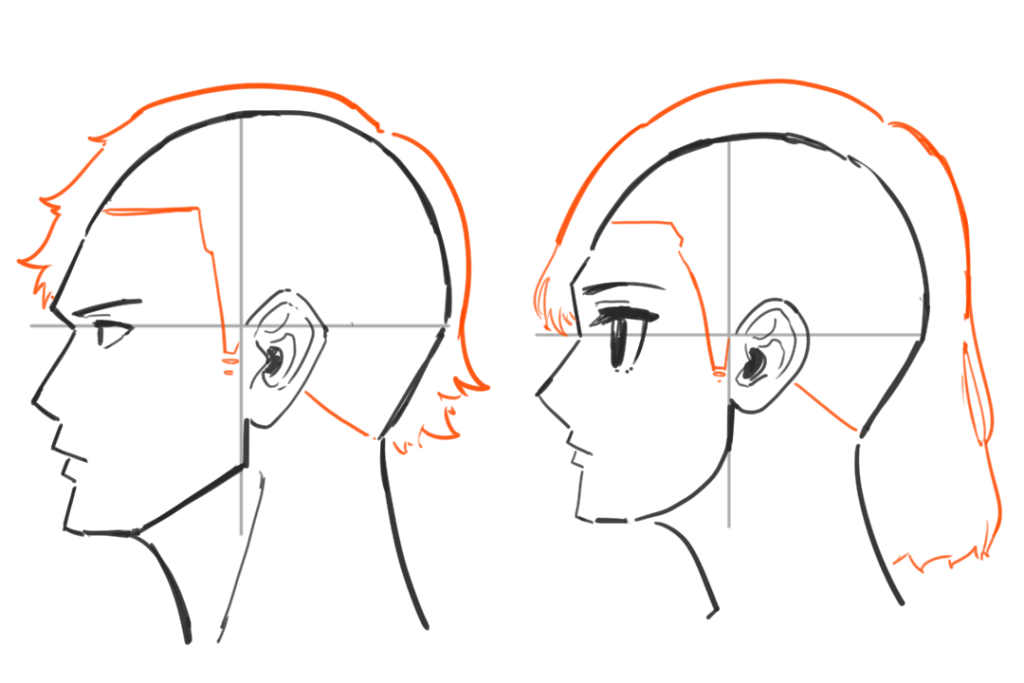 かんたん横顔の描き方 初心者向けに6ステップで解説 シジストノート