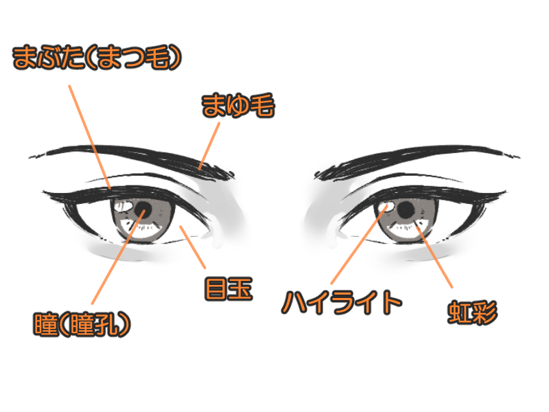 目の描き方1