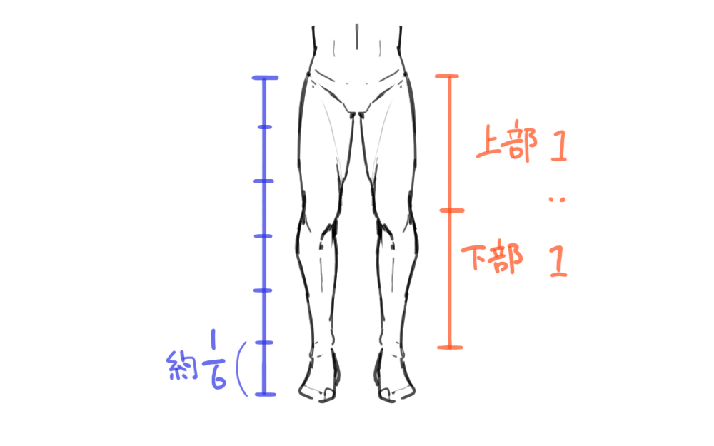 脚の描き方 1