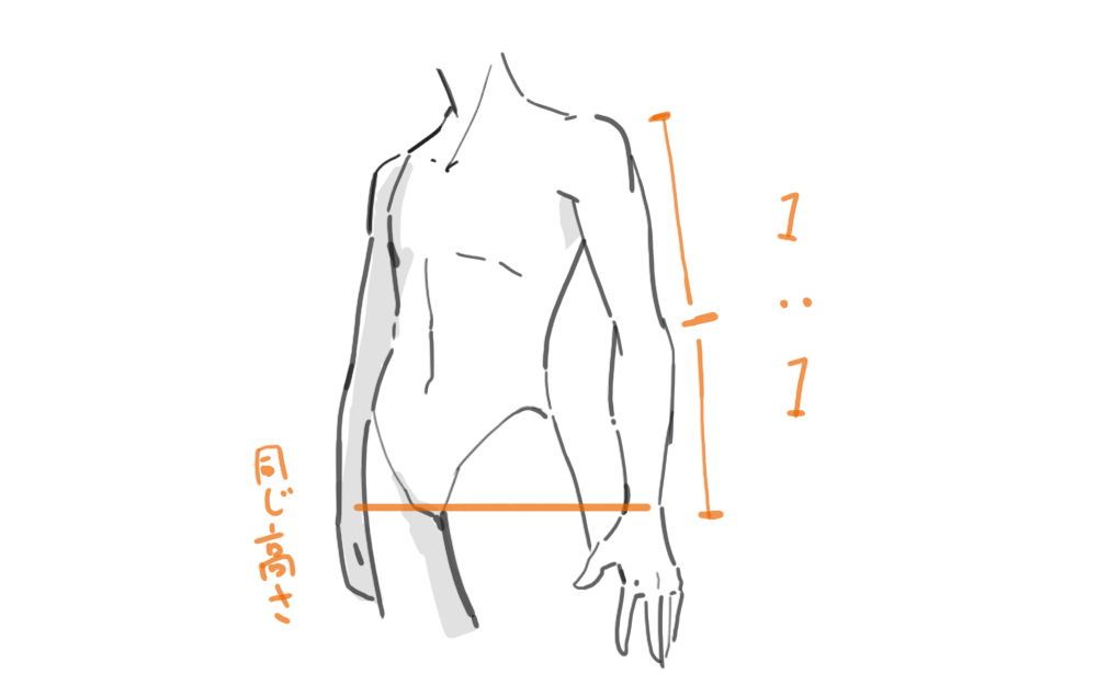 腕の描き方1
