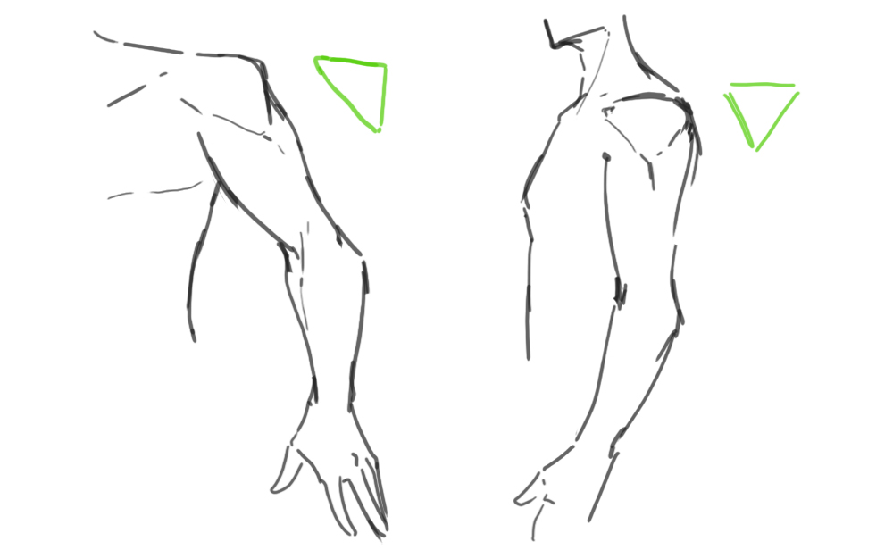 腕の描き方4