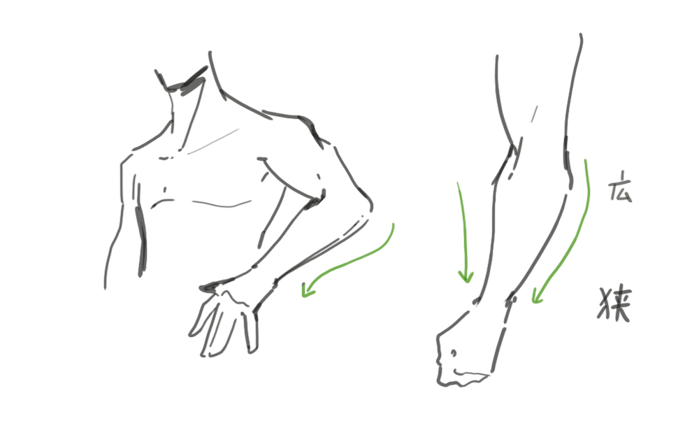 腕の描き方7